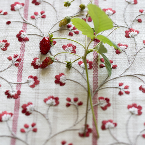 Vine Stripe